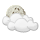 Cloud cover: 54%, no falls