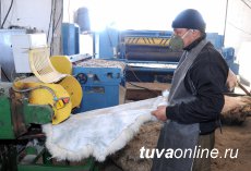 Sleeping bag and a vest from Tuvan sheepskin Made in Erzin