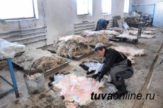 Sleeping bag and a vest from Tuvan sheepskin Made in Erzin