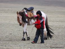 Horsemeat for dinner in 10 regions of Russia - history and today